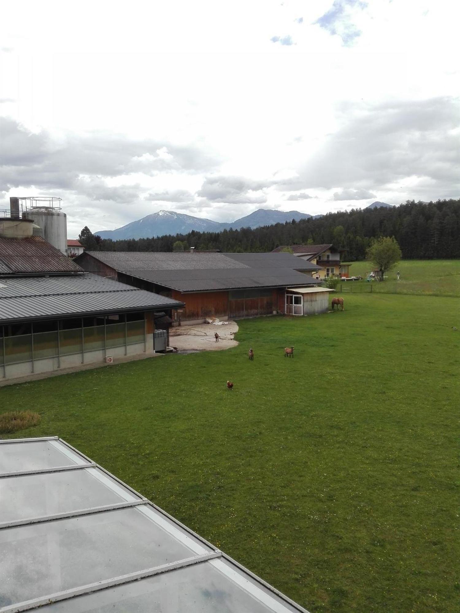 Bauernhof-Pension Puschnikhof Unternarrach Exterior foto